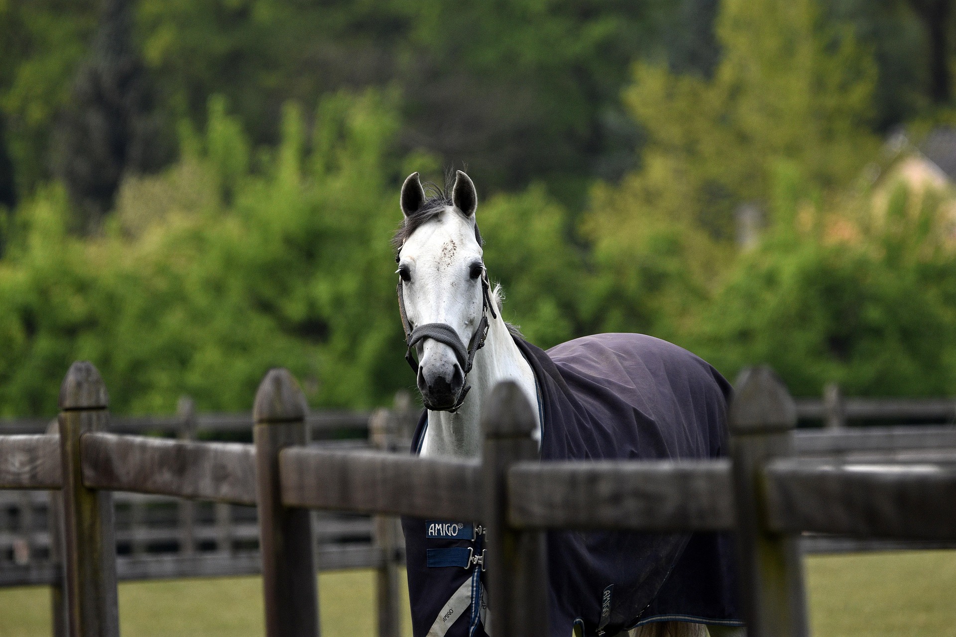 Sovereign Farming Co. Ltd.